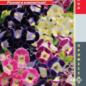 

Торения Микс (серия Kauai) 5драже в пробирке, Плазменные семена