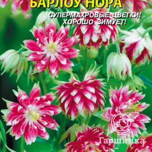 

Аквилегия махровая Барлоу Нора 9 шт, Плазменные семена