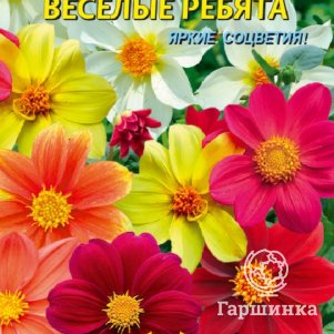 Георгина Веселые ребята 0,15 гр, Плазменные семена