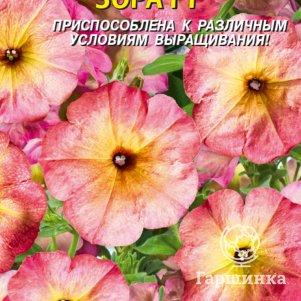 

Петуния Зора F1 многоцветковая 10 шт, Плазменные семена