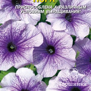 

Петуния Нора F1 многоцветковая 10 шт, Плазменные семена