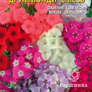 

Флокс Друммонда Смесь 0,2 г, Плазменные семена