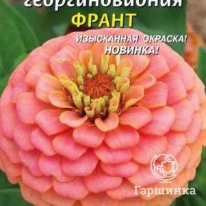 

Цинния георгиновидная Франт, 0,3 гр, Плазменные семена