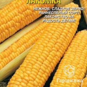 Кукуруза сахарная Лакомка 4г Плазменные семена 29₽