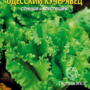 

Салат Одесский кучерявец 0,9 г, Плазменные семена