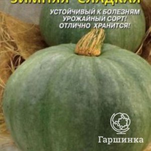 Тыква Зимняя сладкая 2 г, Плазменные семена