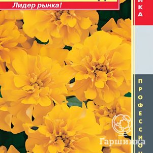

Бархатцы Бонанза Голд отклоненные (серия Bonanza) 10шт, Плазменные семена