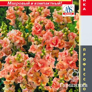 

Львиный зев Персиковый звон F1 (серия Twinny) 10 шт, Плазменные семена