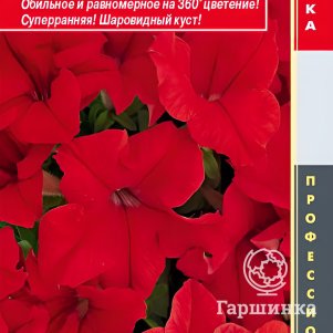 

Петуния крупноцветковая F1 (серия Success! 360) Ред 10 др, Плазменные семена
