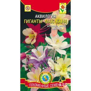 Аквилегия Гигант Мак Кана 0,1 г, Плазменные семена