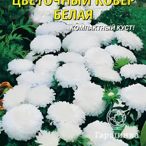 Астра Цветочный ковер БЕЛАЯ 0,3 г, Плазменные семена