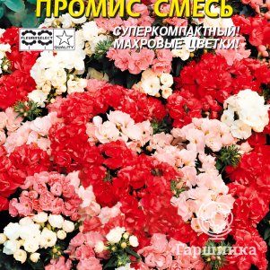 

Флокс Промис Смесь махровый 9 шт, Плазменные семена