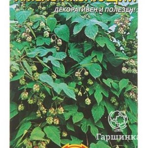 

Хмель лазающий 4 шт, Плазменные семена