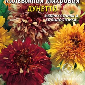

Хризантема Дунетти килеватая махровая 0,2 г, Плазменные семена