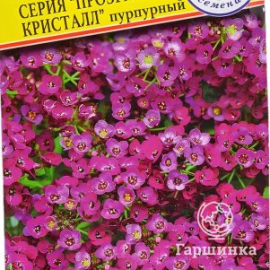 

Алиссум Прозрачный Кристалл Пурпурный (РС-1) морской 5 мдр, Семена Престиж