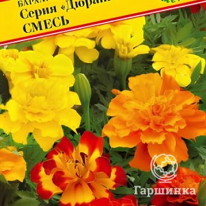 

Бархатцы Дюранго Смесь (РС-1) отклонённые 10 шт, Семена Престиж