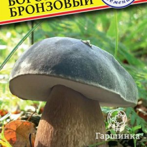 

Боровик бронзовый (Мицелий грибов), 60 мл, Семена Престиж