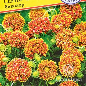 

Гайлардия Санденс Биколор (РС-1) красивая 15 шт, Семена Престиж