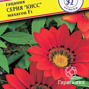 

Гацания Махагон F1 Кисс 5 шт, Семена Престиж