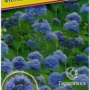 

Гилия Фиолетово-синяя, 0,1 г, Семена Престиж