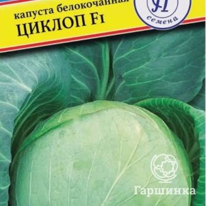 Капуста Циклоп F1 белокочанная 10 шт Семена Престиж 55₽