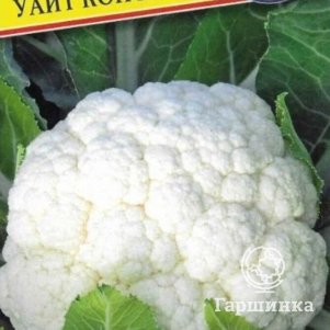 Цветная капуста Уайт Консепт F1 5 шт, Семена Престиж