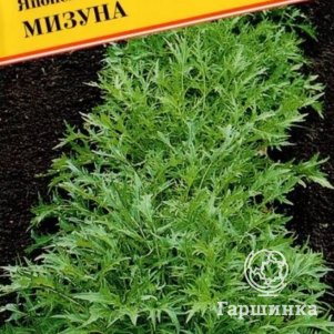 

Японская капуста Мизуна (РС-1) 10 шт, Семена Престиж