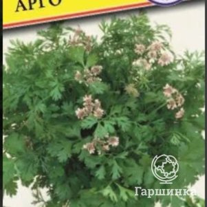 Кориандр Арго РС-1 1 г Семена Престиж 19₽