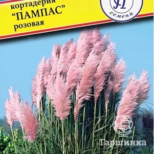 

Кортадерия Пампас Розовая (РС-1) 0,05 г, Семена Престиж