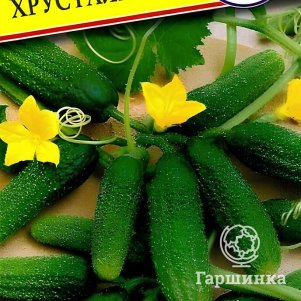 Огурец Хрусталефф F1 5 шт, Семена Престиж