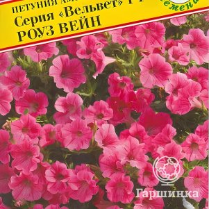 Петуния Вельвет Роуз Вейн F1 ампельная 5 др, Семена Престиж