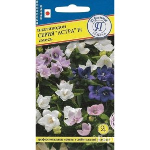 

Платикодон Астра смесь F1 5 шт, Семена Престиж