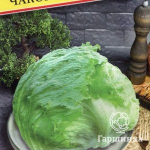 

Салат Чаконера F1 кочанный 5 драже, Семена Престиж