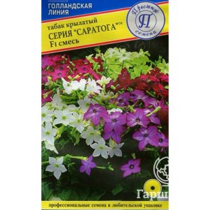 

Табак Саратога смесь F1 крылатый 5 шт, Семена Престиж