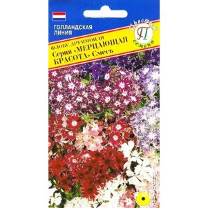 

Флокс Мерцающая красота (РС-1) Друммонди 0,2 г, Семена Престиж