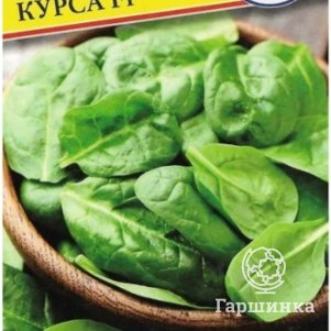 Шпинат Курса F1 1 г Семена Престиж 24₽
