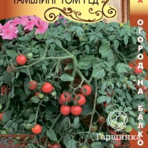 Томат Тамблинг Том Ред  F1 ампельный 8 шт, Плазменные семена