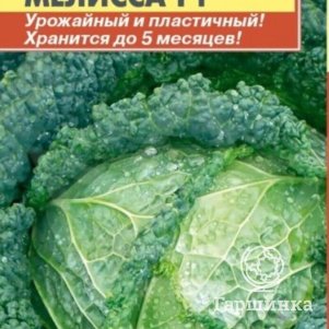 

Савойская капуста Мелисса F1 10 шт, Плазменные семена