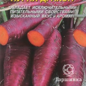 

Морковь Пурпл Дракон 100 шт Плазменные семена