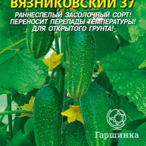

Огурец Вязниковский 37 15 шт, Плазменные семена