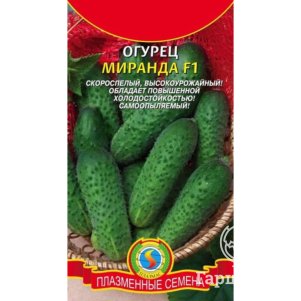 

Огурец Миранда F1 10 шт, Плазменные семена
