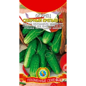 

Огурец Северный крепыш F1 8 шт, Плазменные семена