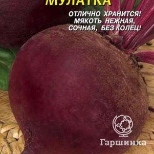 

Свекла Мулатка 2 г, Плазменные семена