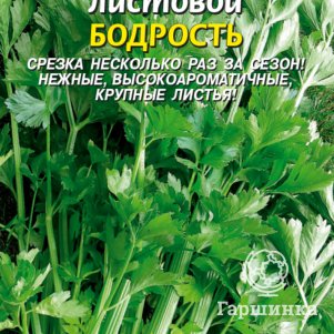 Сельдерей Бодрость листовой 0,5 г, Плазменные семена
