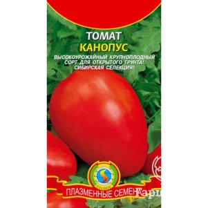 Томат Канопус 20 шт, Плазменные семена