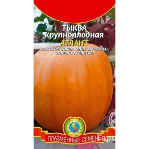 

Тыква Атлант 1 г, Плазменные семена