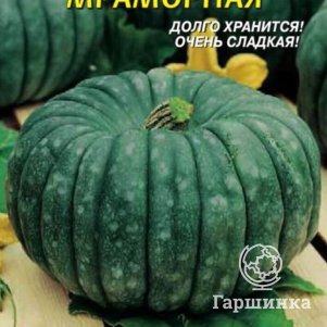 Тыква Мраморная 6 шт Плазменные семена 39₽