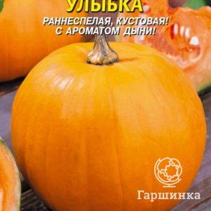 Тыква Улыбка 8 шт, Плазменные семена