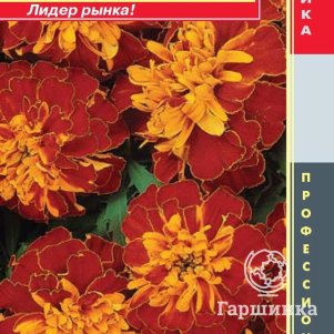 

Бархатцы Бонанза Гармония отклоненные 10шт, Плазменные семена