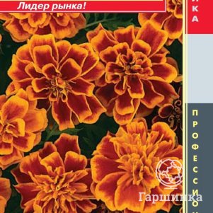 

Бархатцы Бонанза Пламя отклоненные 10шт, Плазменные семена